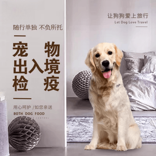 长治市宠物托运到哥伦比亚猫狗宠物入境规定和