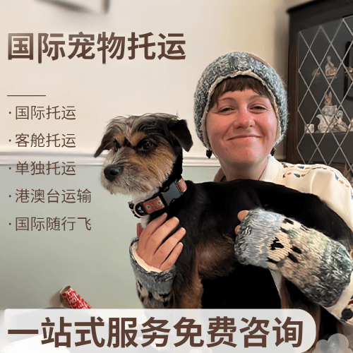 长治市国际宠物托运到阿根廷宠物入境规定和要