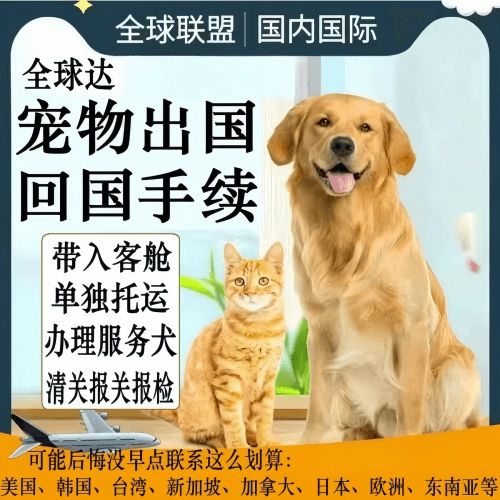 长治市宠物托运到柬埔寨宠物入境规定和要求